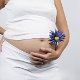 Акушерское отделение патологии беременности